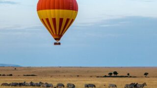 Alternatives to Mass Balloon Releases: Preventing Wildlife and Habitat Impact