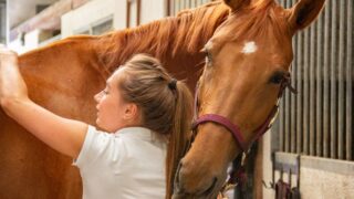 15 Animals That Choose a Single Person and Refuse to Leave Their Side - Behaviourists Finally Explain Why
