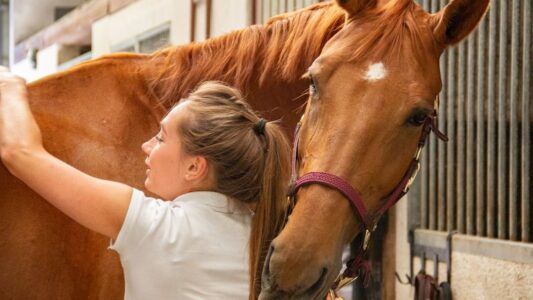 15 Animals That Choose a Single Person and Refuse to Leave Their Side – Behaviourists Finally Explain Why