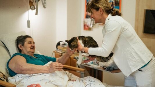 Cats Know Exactly When You’re About to Die (Here’s the Science Behind It)