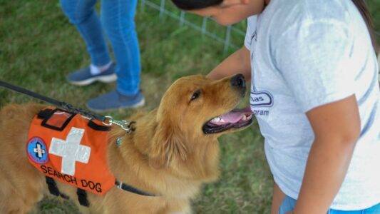 Dog Breeds That Can Tell When You&rsquo;re About to Have a Heart Attack (And What They Do)