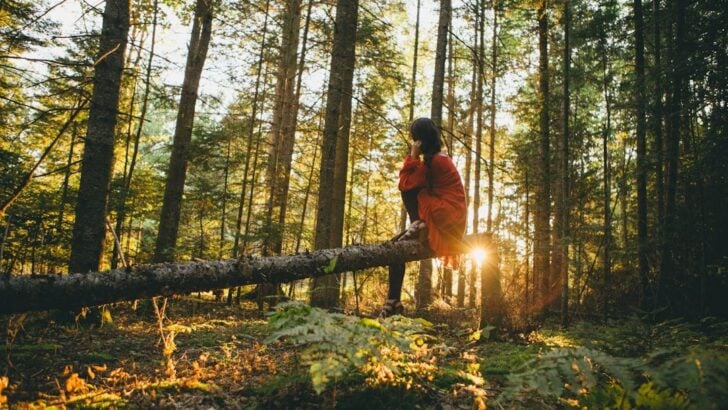 Psychology Says Humans Crave Ancient Nature Because Modern Life Overstimulates the Brain