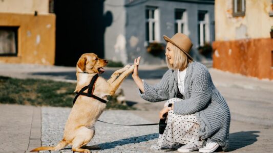 Why Dogs Are the Best Grief Companion for Anyone Who Lost Someone Over 50