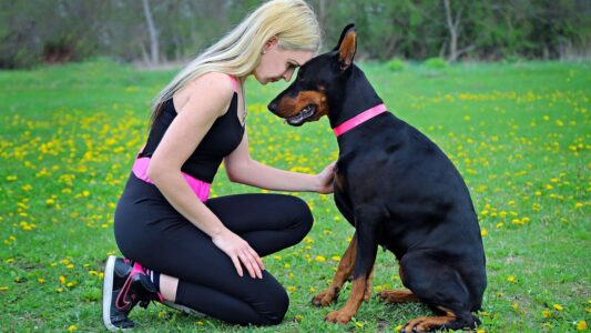 12 Zodiac Signs and the Dog Breeds They Secretly Need in Their Lives