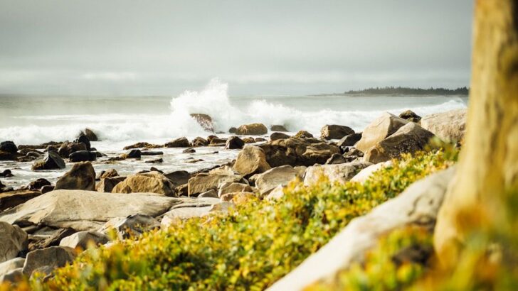 East Coast Cool Down to Last Into June