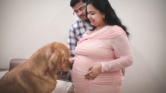 Dog Breeds That Know You&rsquo;re Pregnant Before You Do (And the 3 Signs They Show)