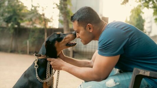 Psychology Says Dogs Feel the Weight of Human Loneliness Even When Their Owner Pretends to Be Fine