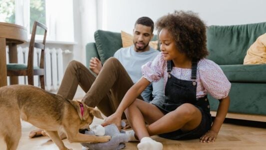 10 Things You&rsquo;re Doing That Make Your Dog Think You&rsquo;re the Weakest Pack Member