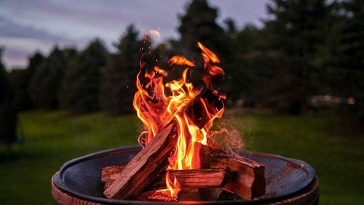 Psychology Says Your Love of Campfires Comes From an Ancient Survival Instinct