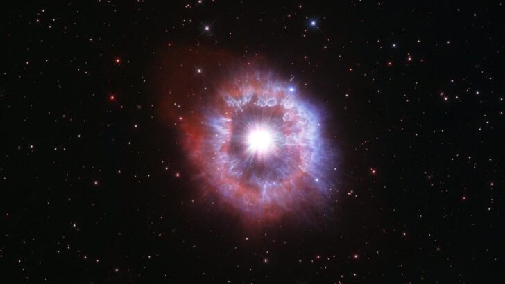 Space Science Says the Iron in Your Blood Was Forged Inside a Star That Exploded Before the Sun Existed &ndash; and the Implications for Human Identity Are Profound