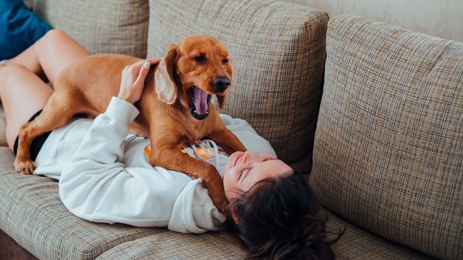 Neuroscience Says Your Dog May Sense Emotional Changes Before You Do