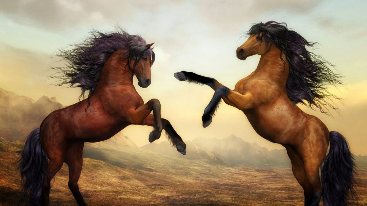 Which Zodiac Signs Would Bond Best With Wild Horses