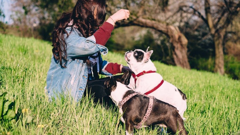 13 Things Experienced Dog Breeders Quietly Wish They Could Tell Every New Owner Before They Left With Their Puppy