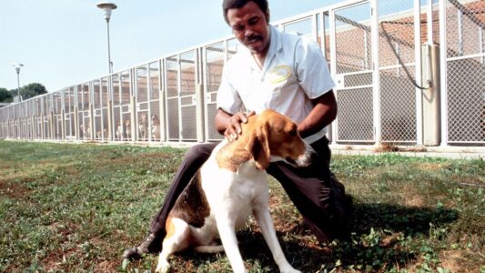 13 Things Experienced Dog Breeders Quietly Wish They Could Tell Every New Owner Before They Left With Their Puppy