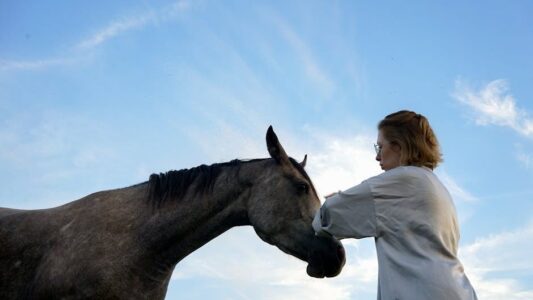 15 Things Horse Owners Do in Year One That Vets Say Come Back to Haunt Them Every Single Time