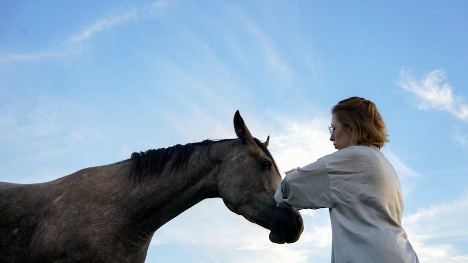 15 Things Horse Owners Do in Year One That Vets Say Come Back to Haunt Them Every Single Time