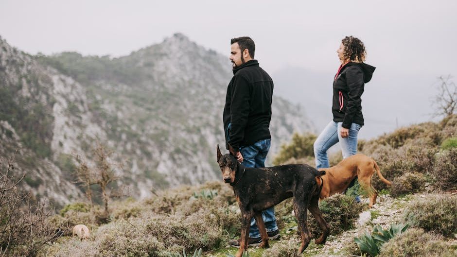 14 Signs a Dog Has Chosen Their Person for Life - Vets Say It Happens in the First Few Weeks and Never Changes
