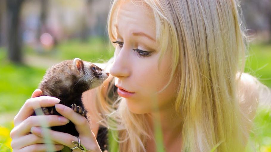 15 Animals Vets Say Form Bonds With One Person That Rival Any Dog - Most Families Never Consider Them
