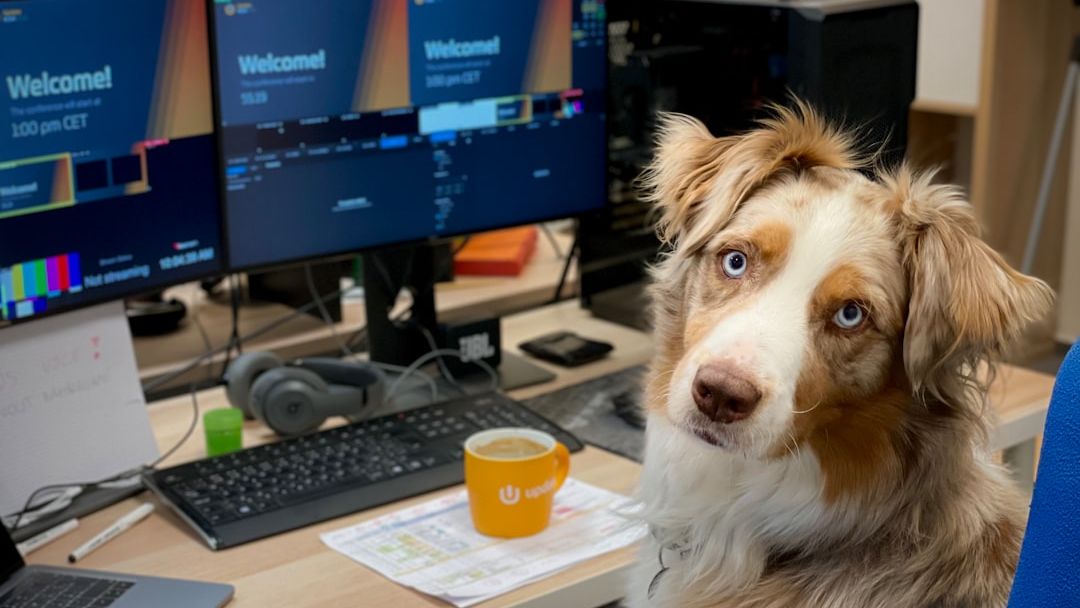 7 Dog Breeds That Refuse to Leave Your Side When You're About to Get Sick