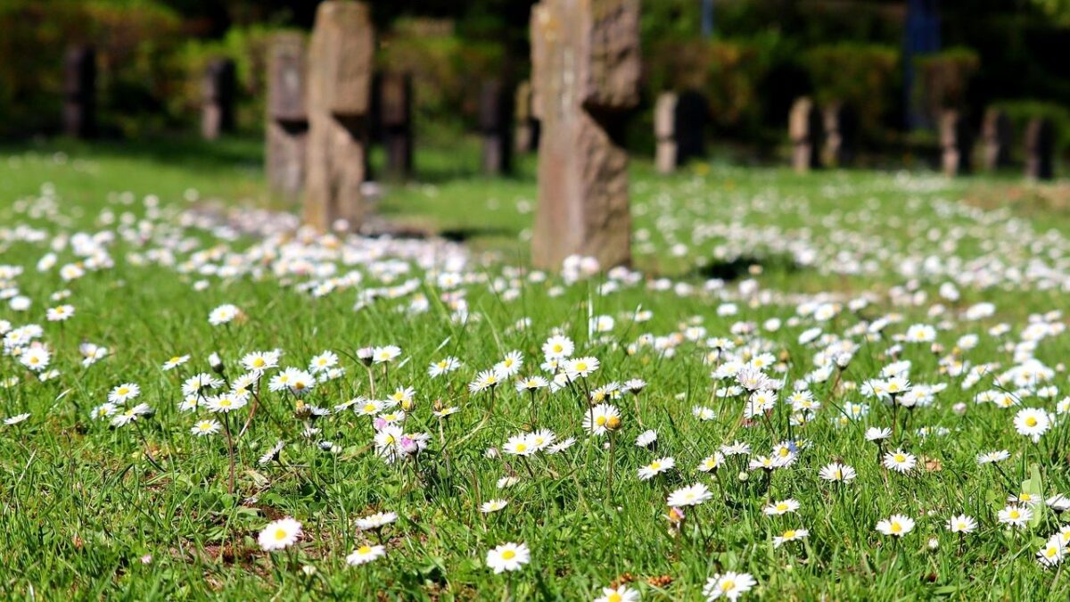 Anthropology Says Ancient Humans Who Buried Their Dead With Flowers 130,000 Years Ago May Have Had a Concept of an Afterlife Far Earlier Than Any Religion We Know