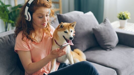 15 Things Dog Trainers Quietly Notice About a Dog in the First 5 Minutes That Tell Them Everything