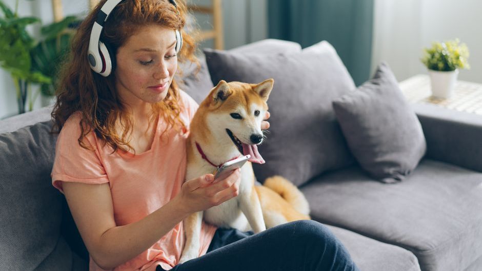 15 Things Dog Trainers Quietly Notice About a Dog in the First 5 Minutes That Tell Them Everything