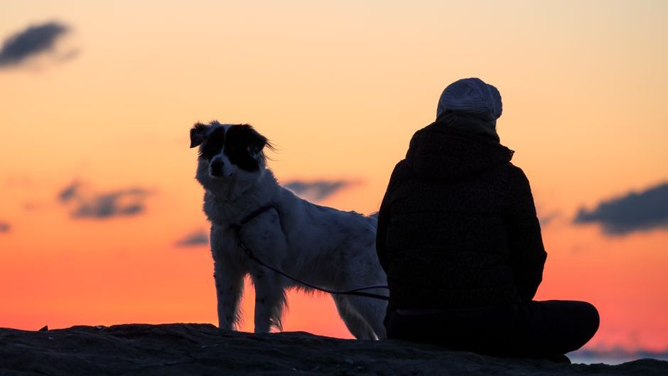 16 Ways Dogs Show They Still Know You on the Days It Seems Like They Don't Remember