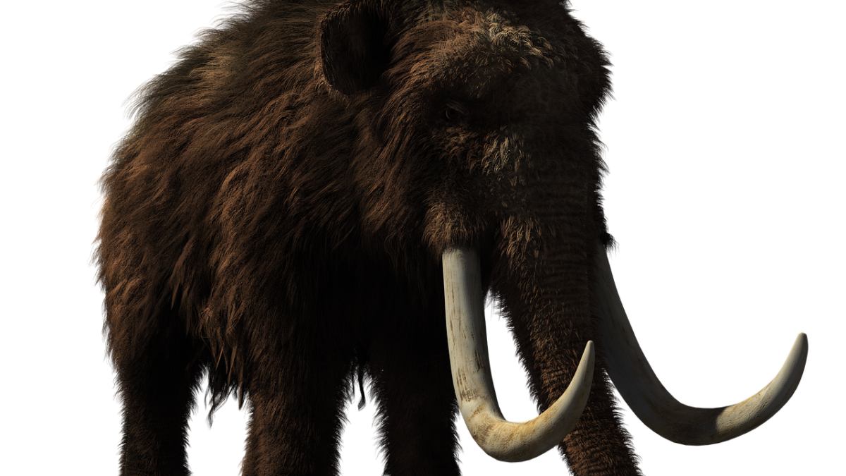 The Genetic Rescue Revolution: How Scientists Are Bringing Back Vanishing Species