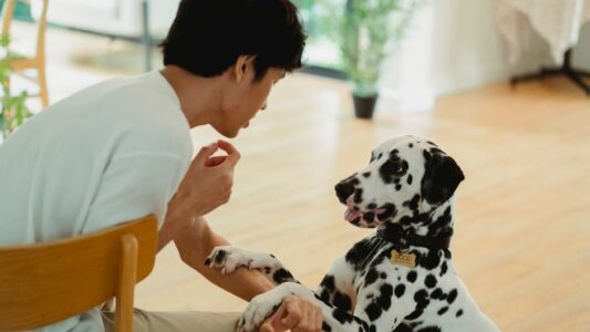 If You Talk to Your Pet Like a Human, Psychology Says You&rsquo;re Not Weird &ndash; You&rsquo;re Emotionally Advanced