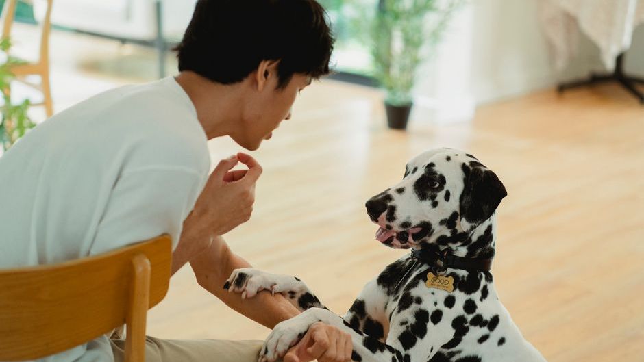 If You Talk to Your Pet Like a Human, Psychology Says You're Not Weird – You're Emotionally Advanced