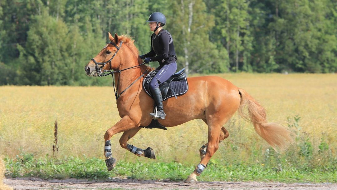 14 Things Riding Schools Quietly Stopped Teaching New Students - Experienced Instructors Finally Explain Why
