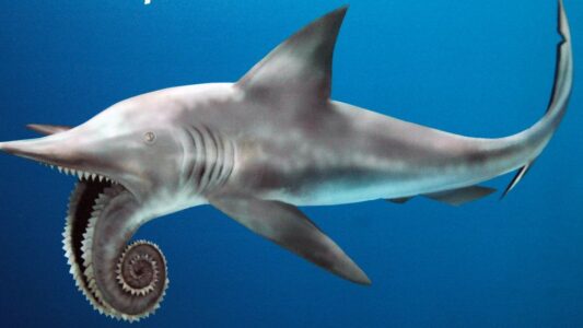 8 Terrifying Things About Prehistoric Oceans That Movies Rarely Show Correctly