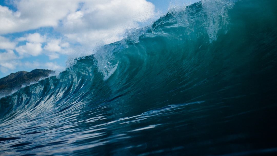 Ocean Science Says the Sound Recorded at the Bottom of the Mariana Trench Is Never Truly Silent - It Carries Distant Earthquakes Ship Engines and Whale Songs Simultaneously From Thousands of Miles Away