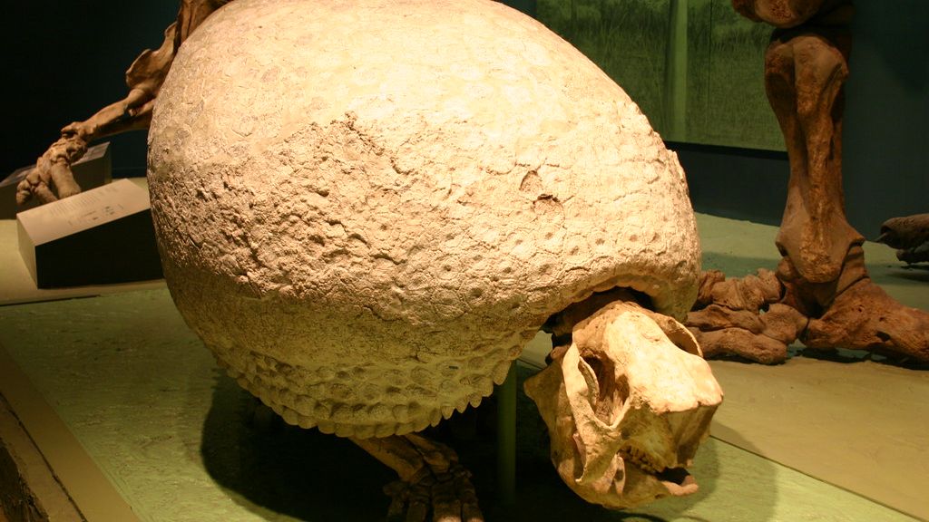 10 Creatures That Disappeared During Humanity’s Rise to Civilization