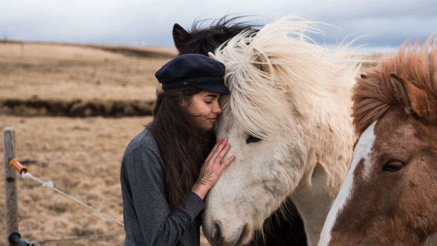 13 Signs Your Horse Has Chosen You - And Will Never Fully Accept Anyone Else