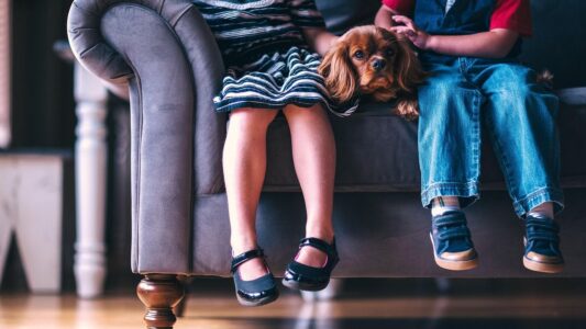 15 Things Veterinary Nurses Quietly Notice About Dogs in Waiting Rooms That Owners Never See