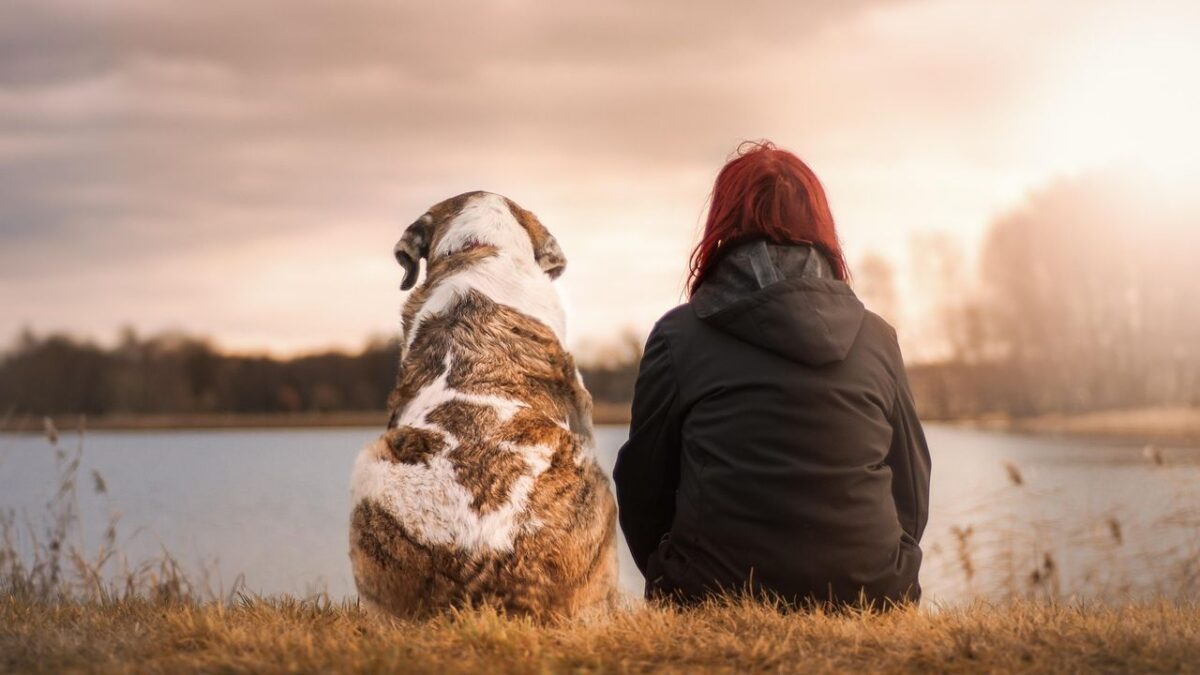 The Zodiac Signs That Animals Approach Without Fear (And The One They Always Avoid)