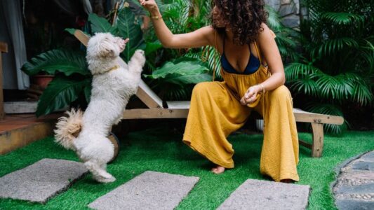 10 Dog Breeds That Refuse to Eat When Their Owner Is Sick (Vets Call It &lsquo;Empathic Fasting&rsquo;)