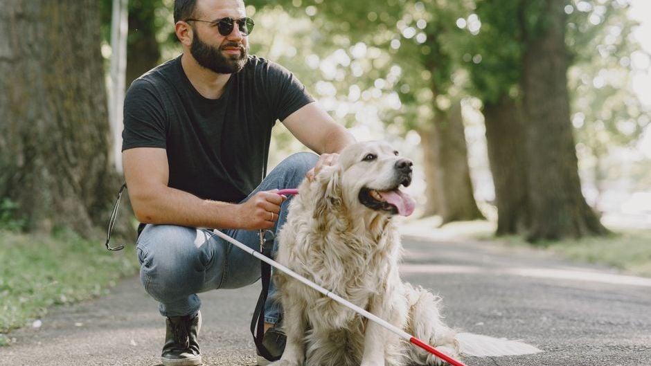 14 Animals That Form a Bond So Deep With One Person That Rehoming Them Is Nearly Impossible