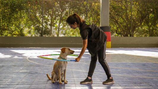 The Zodiac Signs Dogs Protect Most Fiercely (Even From Family Members)
