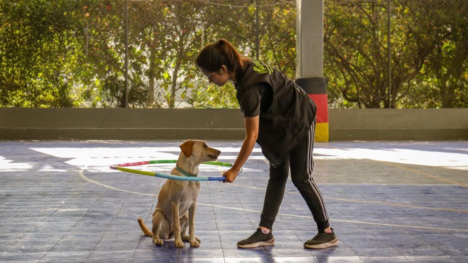 The Zodiac Signs Dogs Protect Most Fiercely (Even From Family Members)