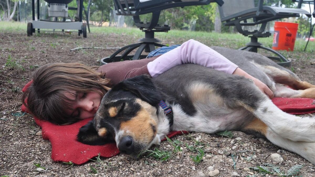 14 Quiet Moments Between a Dog and Their Person That Only Happen Near the End