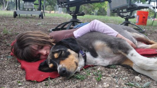 14 Quiet Moments Between a Dog and Their Person That Only Happen Near the End