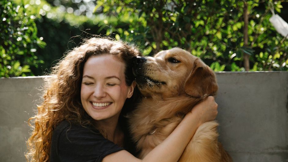 10 Dog Breeds That Bond Well With Humans The Most