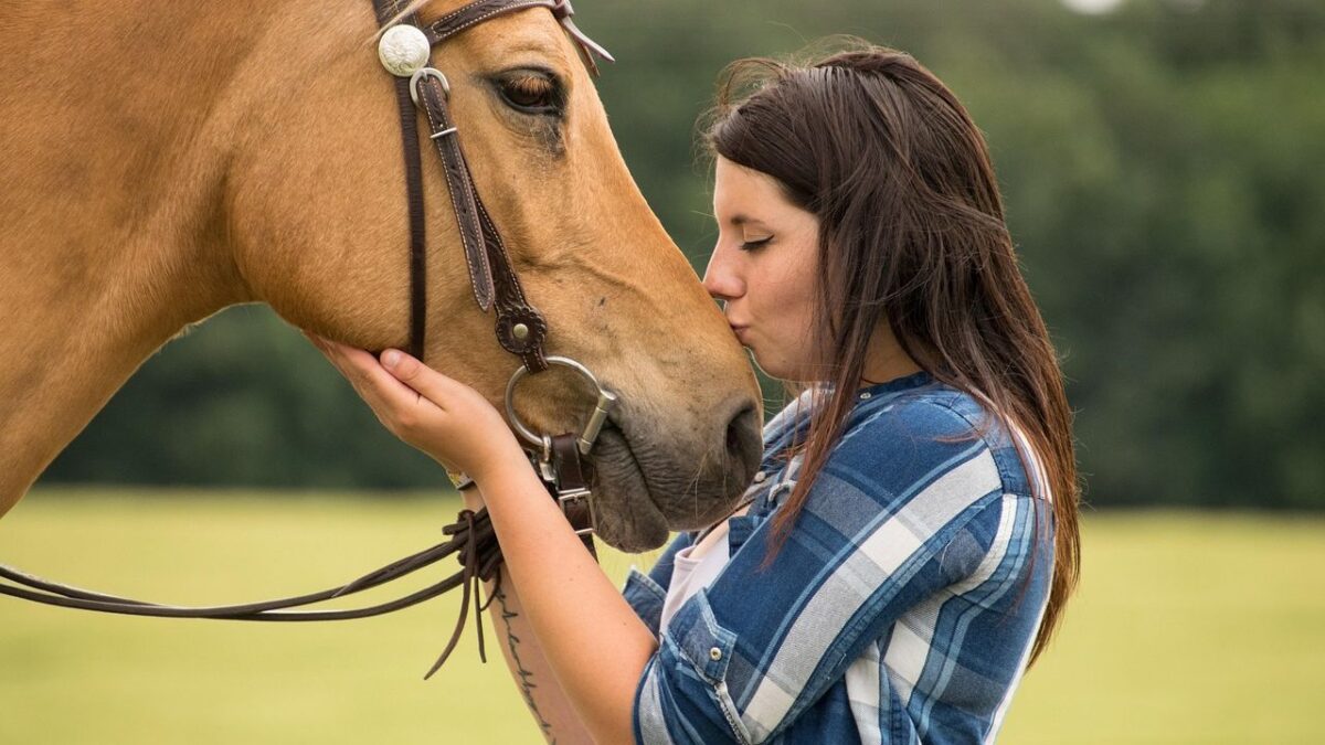 10 Things Horses Teach Us About Patience and Presence