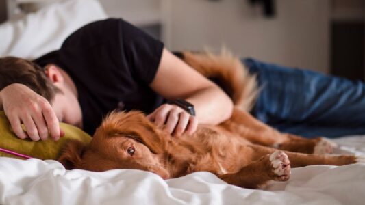 Canine Psychology Says Dogs Who Sleep With Their Back Touching You Are Communicating a Primal Trust Signal Rooted in Wolf Pack Survival