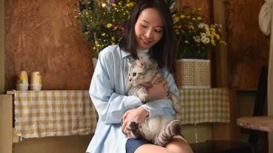 Behavioral Science Says When a Cat Slow-Blinks at You It Is Not Just Relaxed &ndash; It Is Doing Something That Requires Real Cognitive Effort