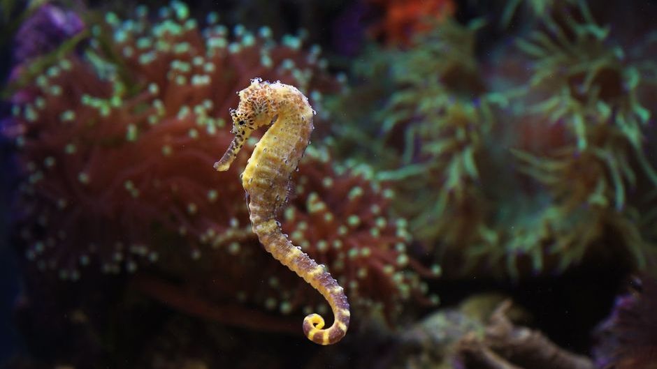 15 Animal Facts That Sound Made Up But Are Completely True
