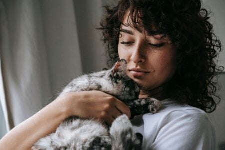 Your Aging Cat Doesn't Need Much – 13 Signs It Only Ever Needed You