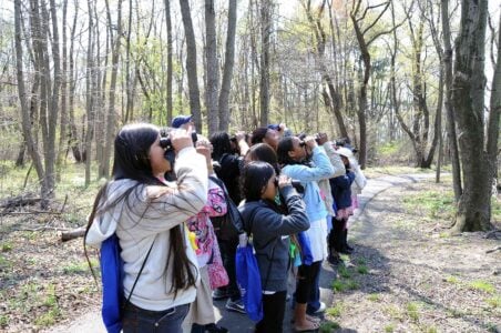 14 Bird Secrets Lifelong Birdwatchers Rarely Share With Beginners